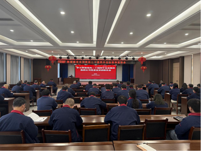 公司召開學(xué)習(xí)貫徹黨的二十屆四中全會精神宣講會